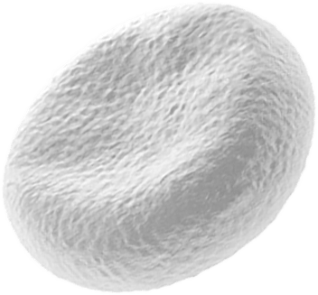 Liposomal Iron